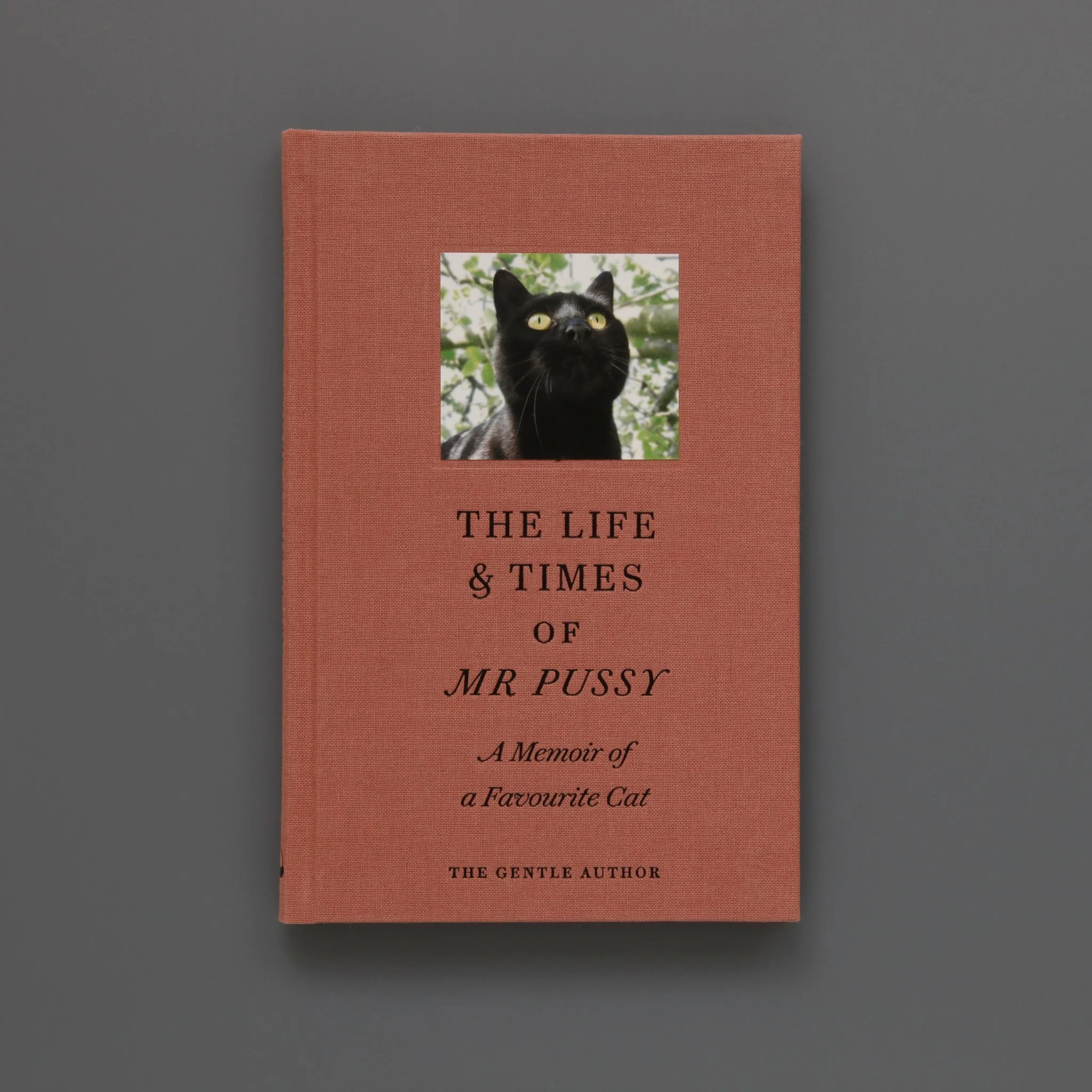 The Life & Times of Mr Pussy